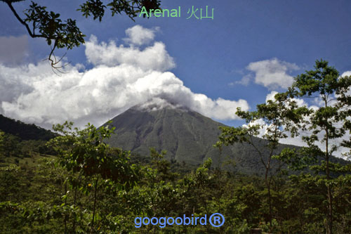 CostaRica-Arenal 02.jpg