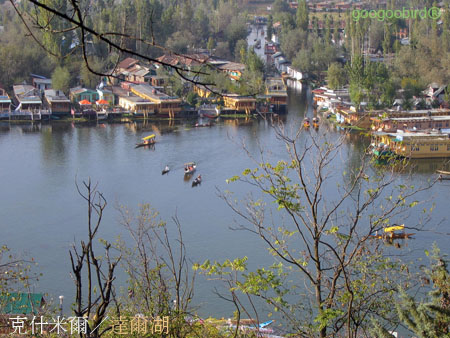 India205 Srinaga view from Shankaracharya Hill.jpg