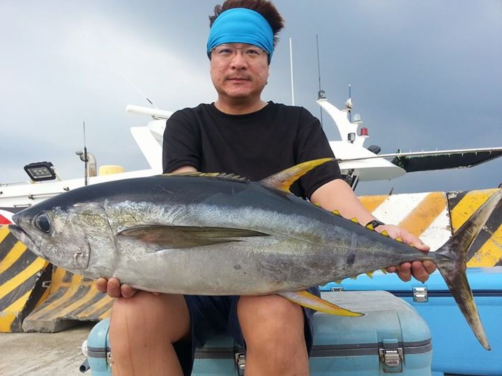 野雁18號黃鰭鮪魚