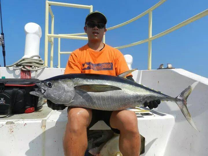 野雁18號黃鰭鮪魚