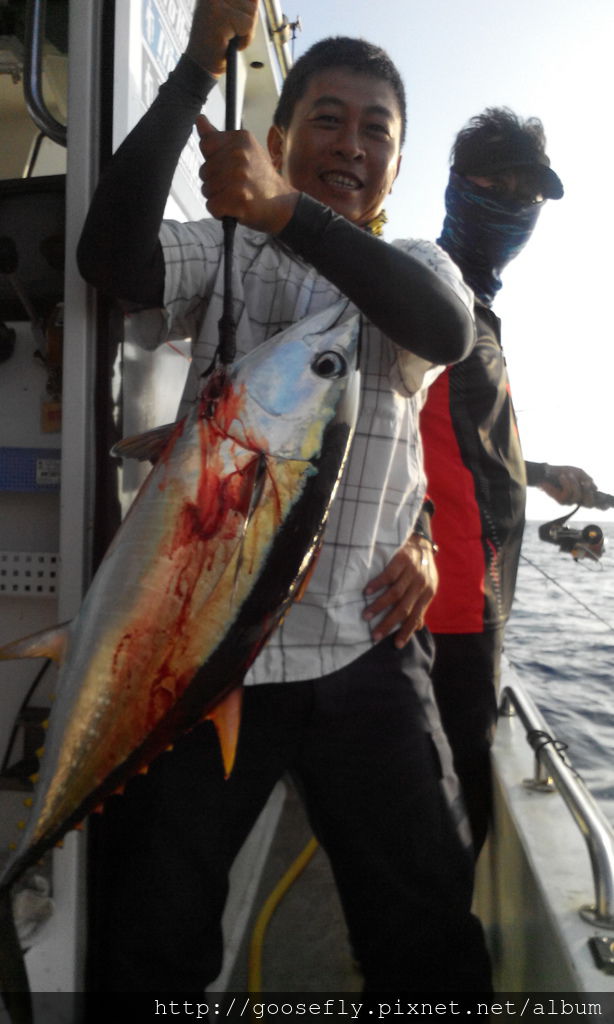 野雁18號黃鰭鮪魚班