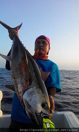 野雁18號黃鰭鮪魚班