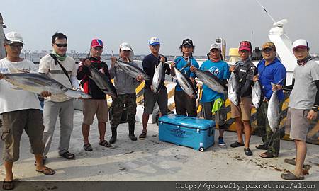 野雁18號黃鰭鮪魚班