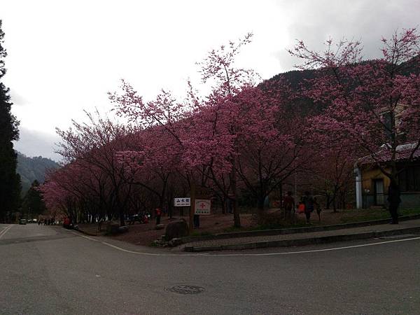 25-3 (1).jpg 25-3 (1).jpg