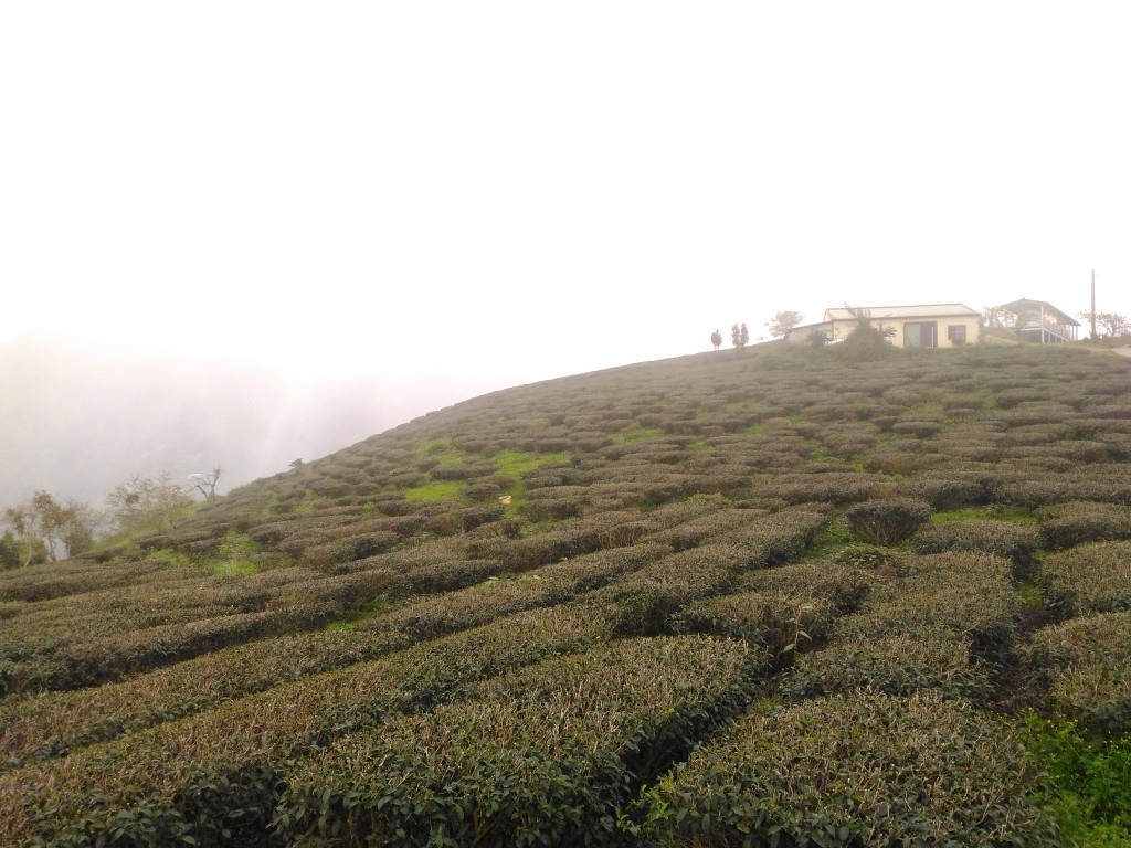 5 (10)-1.jpg 5 (10)-1.jpg