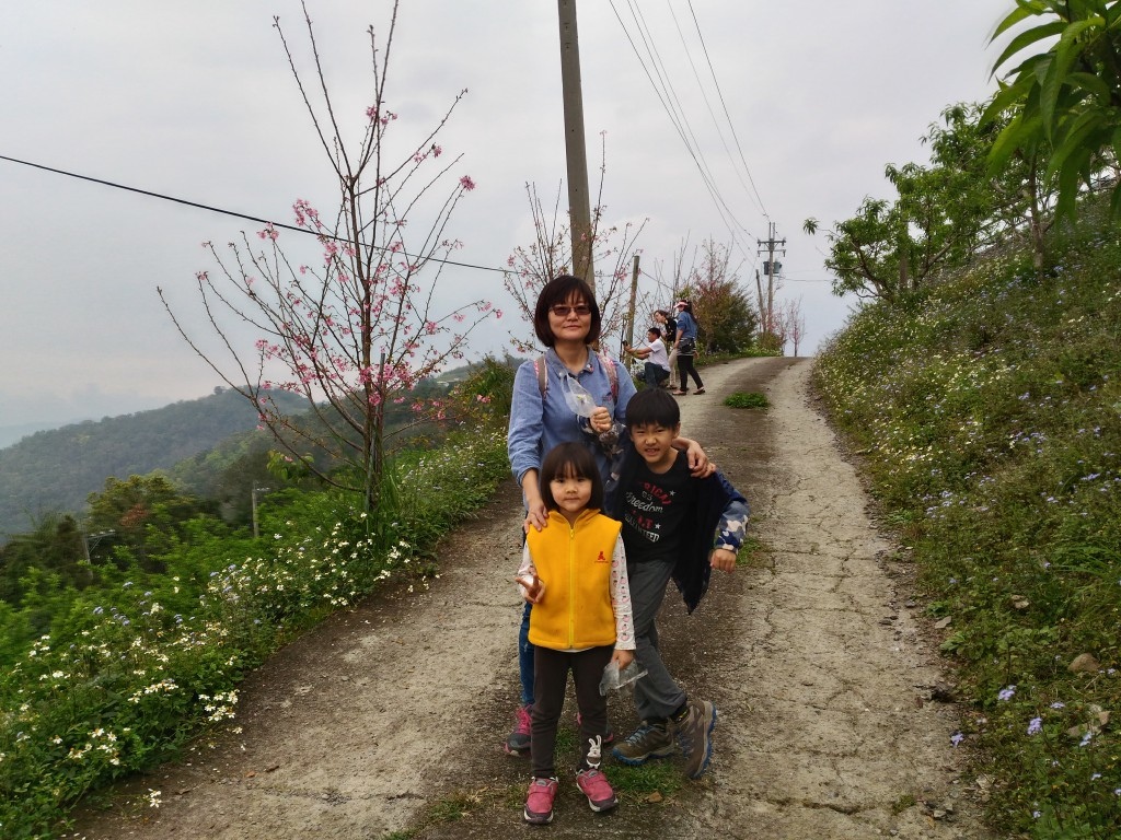 5 (23).jpg 5 (23).jpg