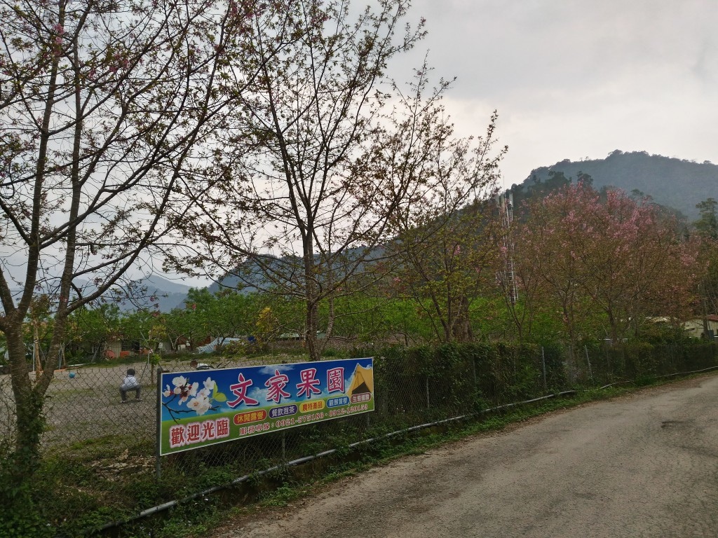 5 (26).jpg 5 (26).jpg