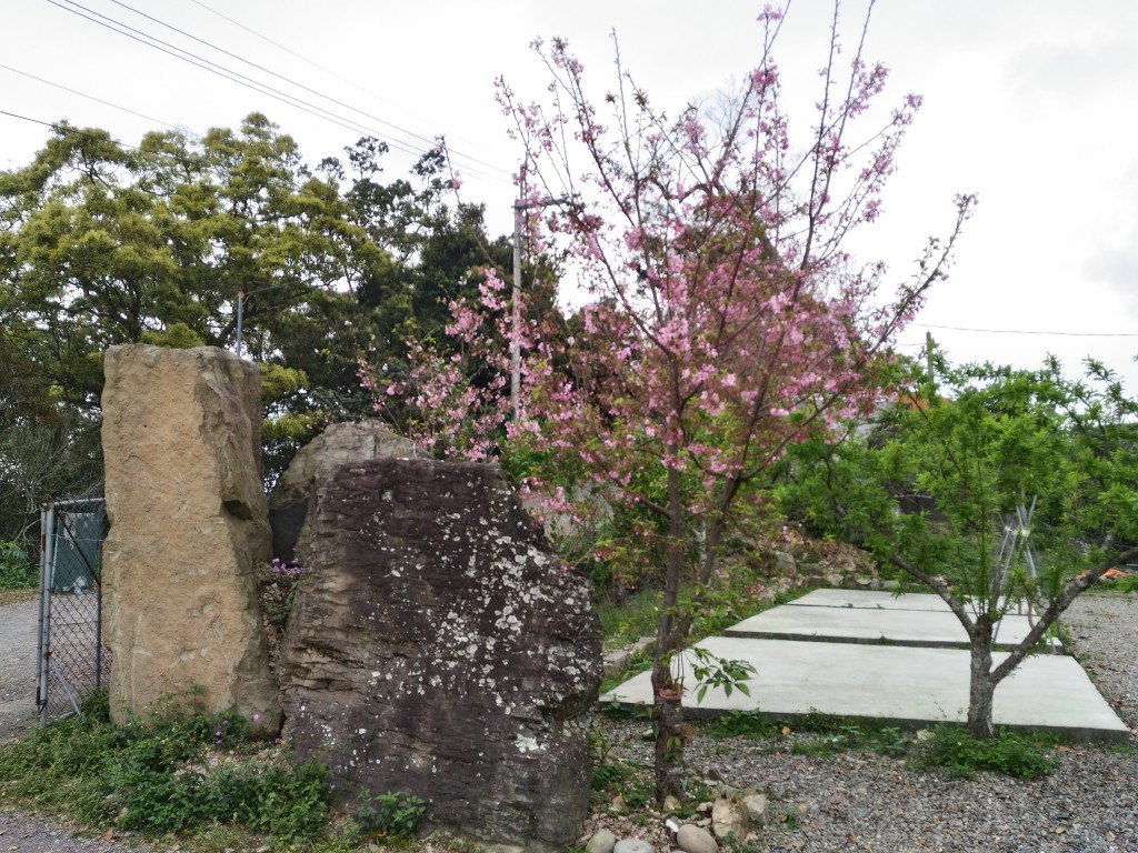 5 (29).jpg 5 (29).jpg