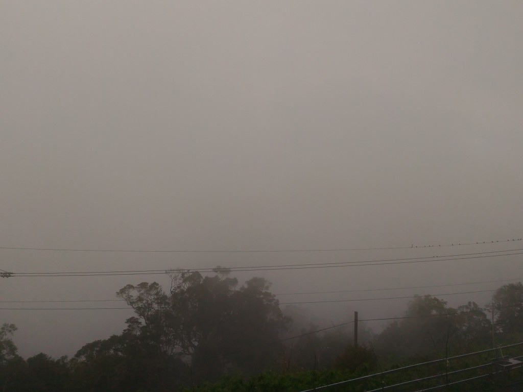 5 (34).jpg 5 (34).jpg