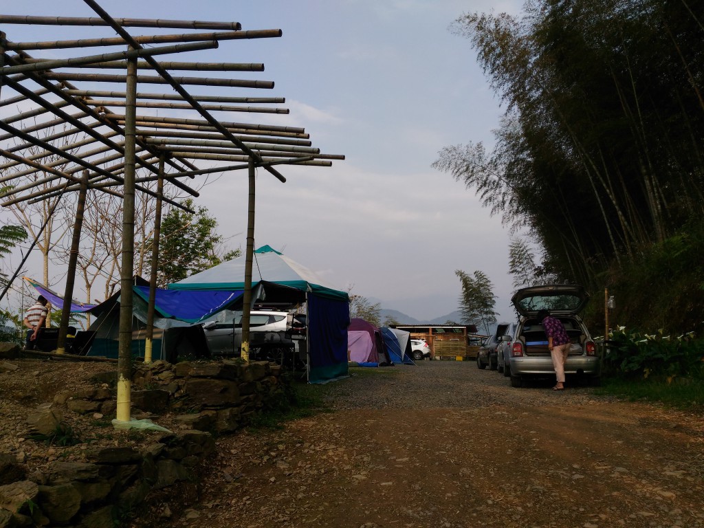 5 (46).jpg 5 (46).jpg