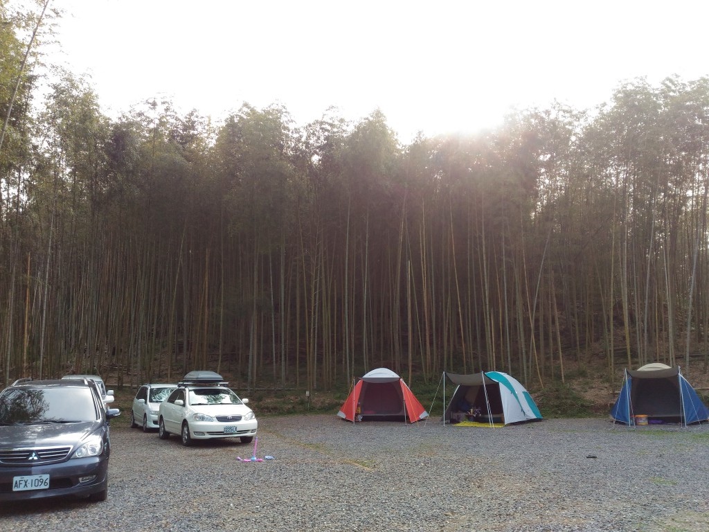 5 (48).jpg 5 (48).jpg