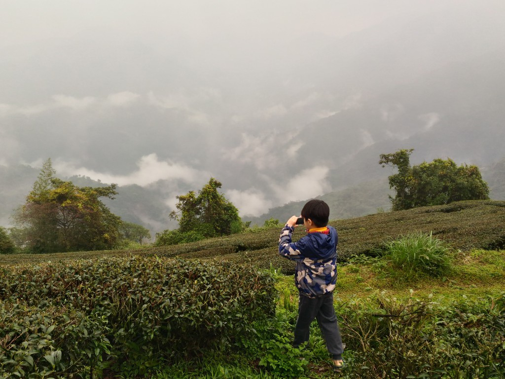 5 (79).jpg 5 (79).jpg