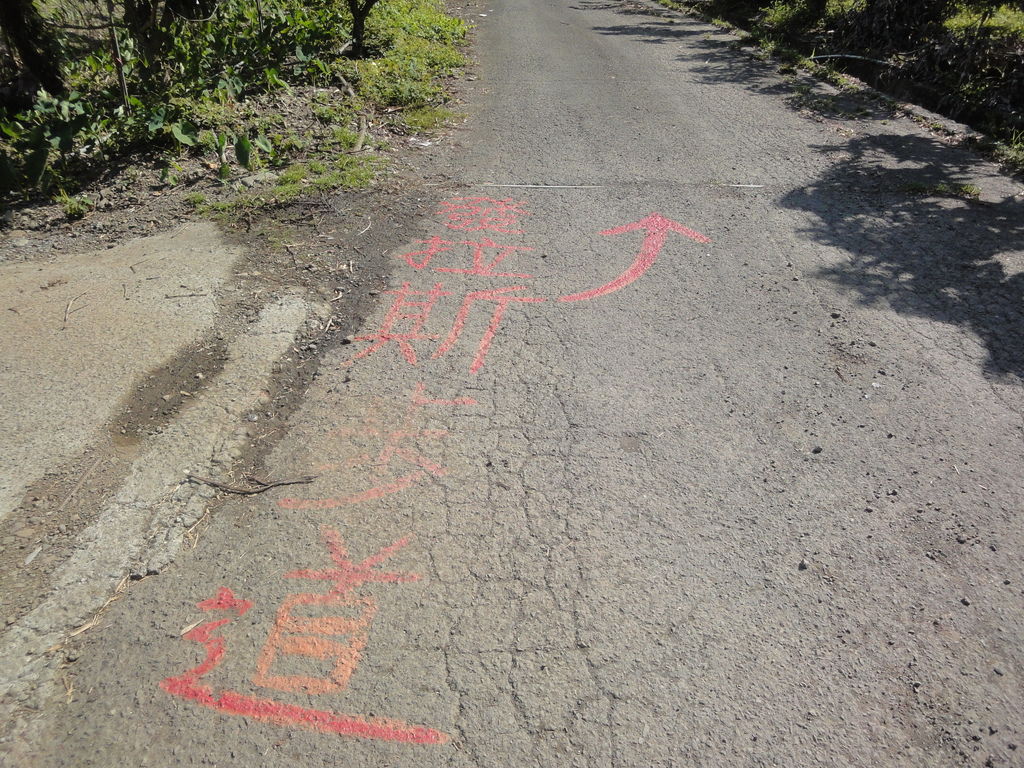 z1 (6)-1.JPG z1 (6)-1.JPG