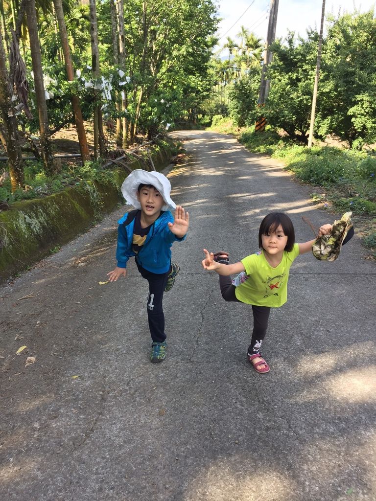 z2 (1).jpg z2 (1).jpg