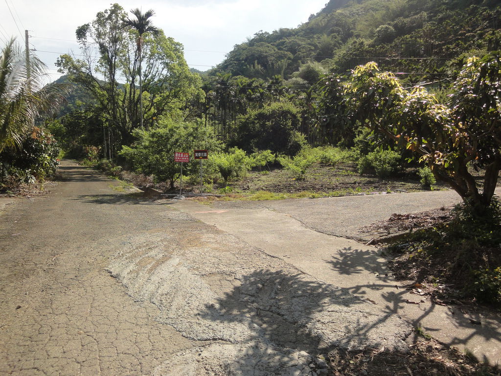 z1 (7).JPG z1 (7).JPG