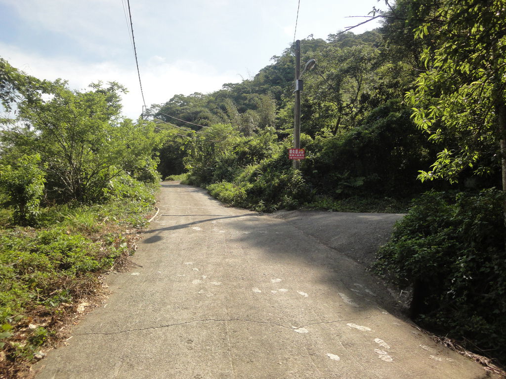 z1 (8).JPG z1 (8).JPG