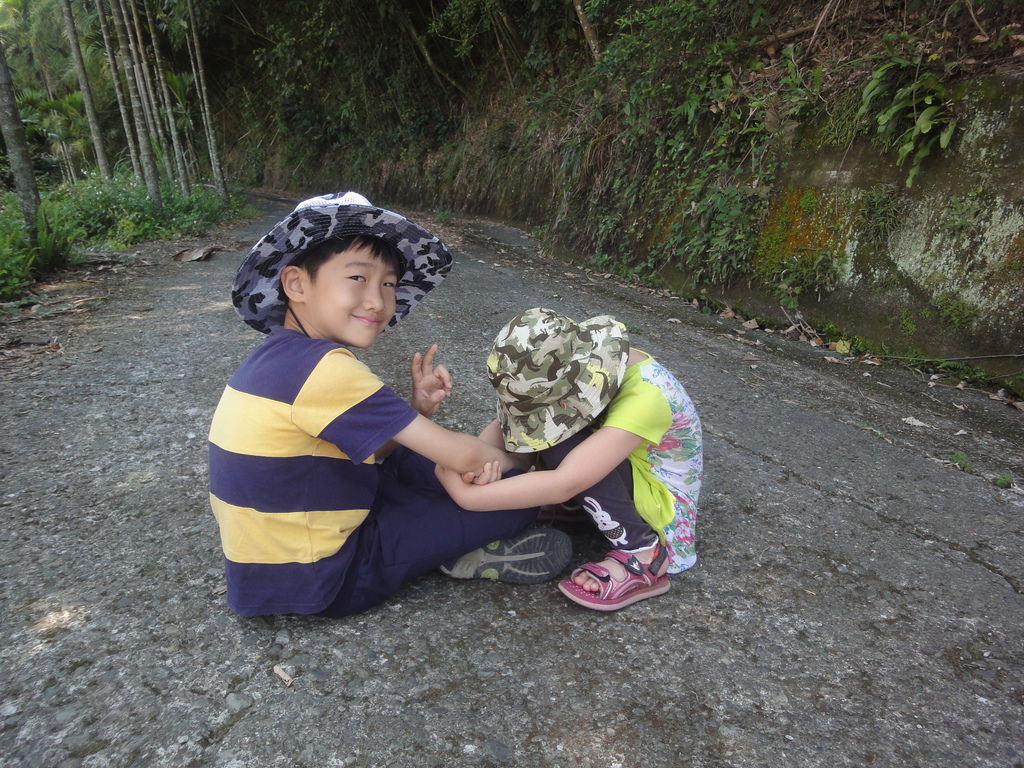 z2 (5).JPG z2 (5).JPG