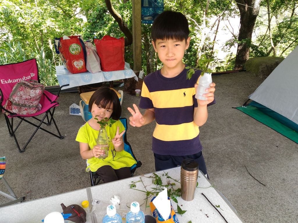 z2 (6)-2.jpg z2 (6)-2.jpg