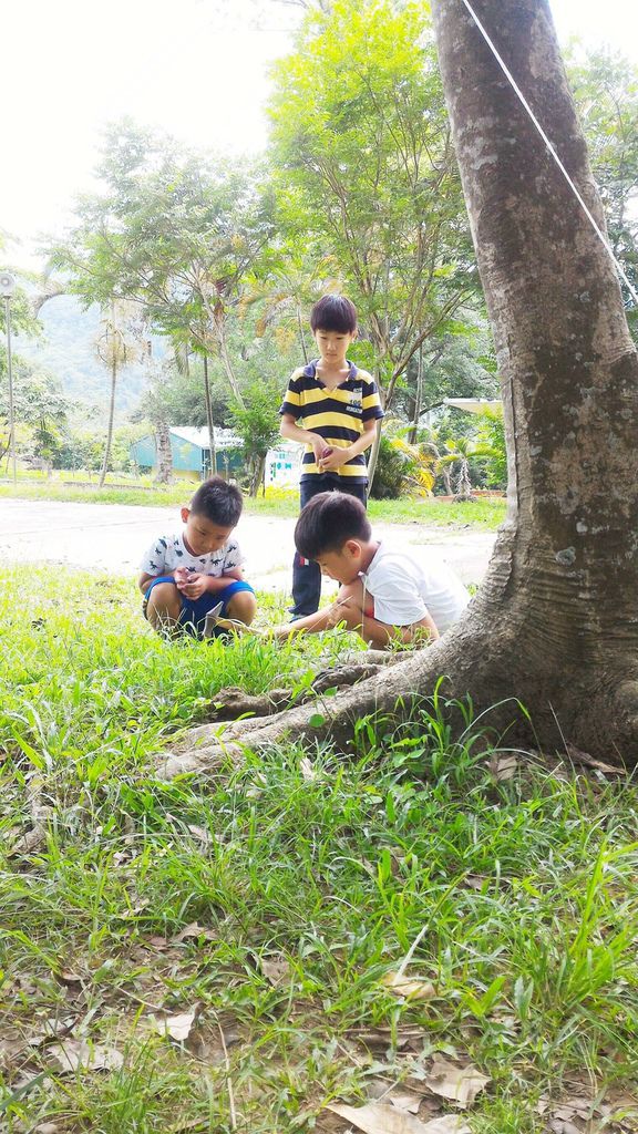 18 (5).jpg 18 (5).jpg