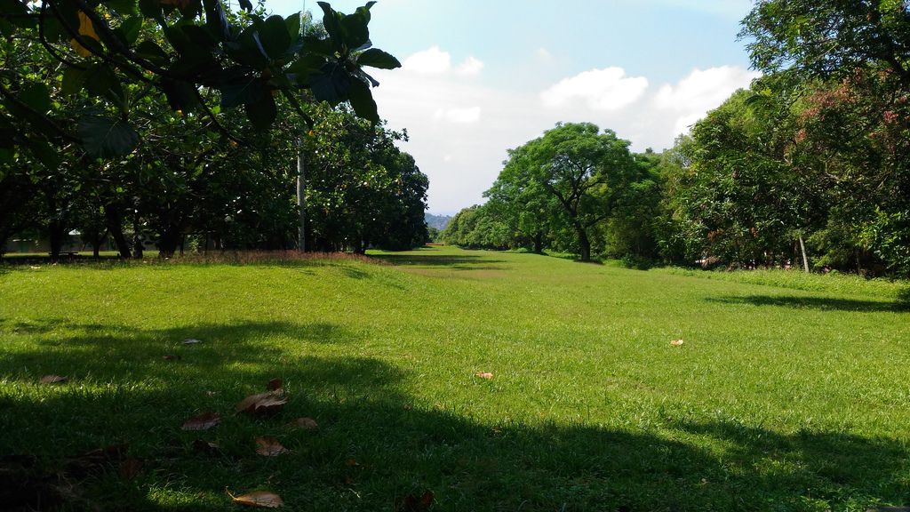 18 (2).jpg 18 (2).jpg