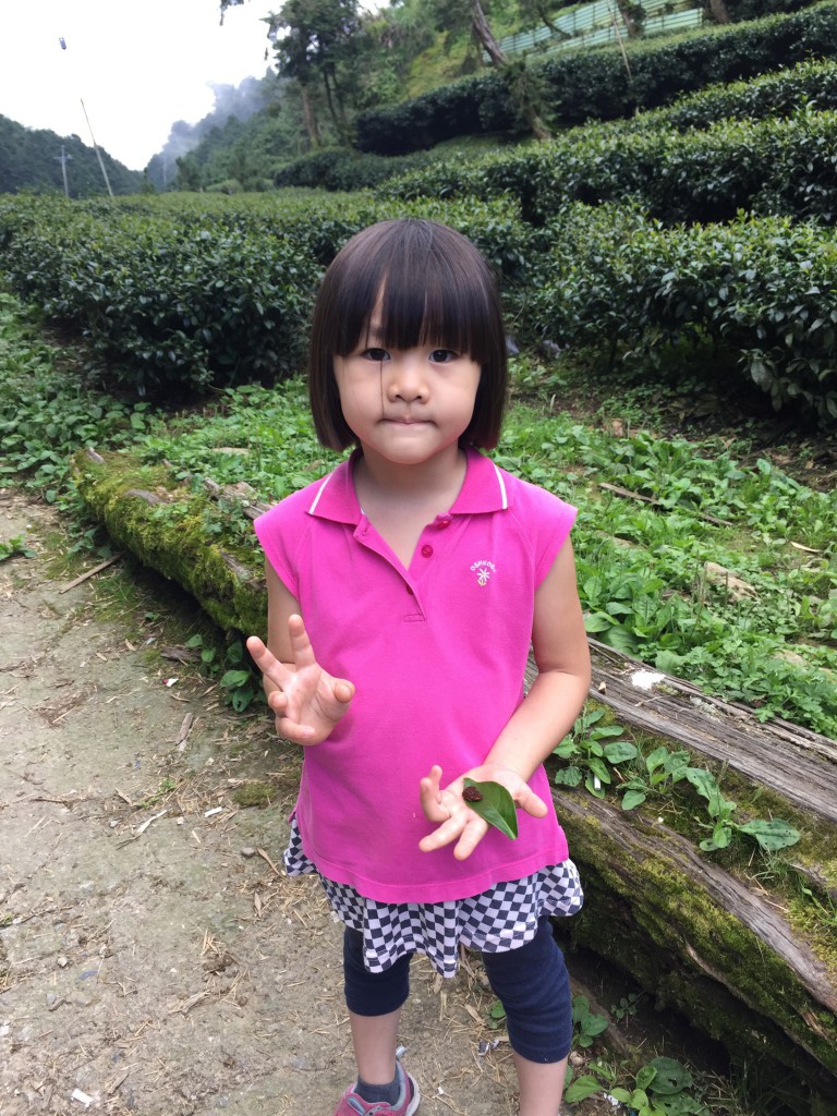 b1 (2)-3.jpg b1 (2)-3.jpg