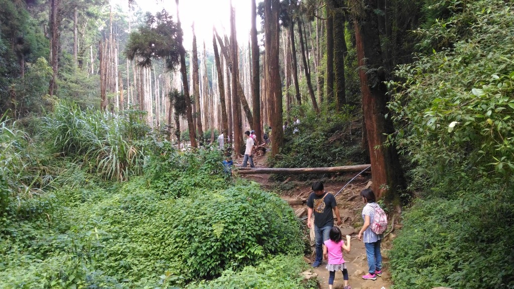 b1 (2)-5.jpg b1 (2)-5.jpg