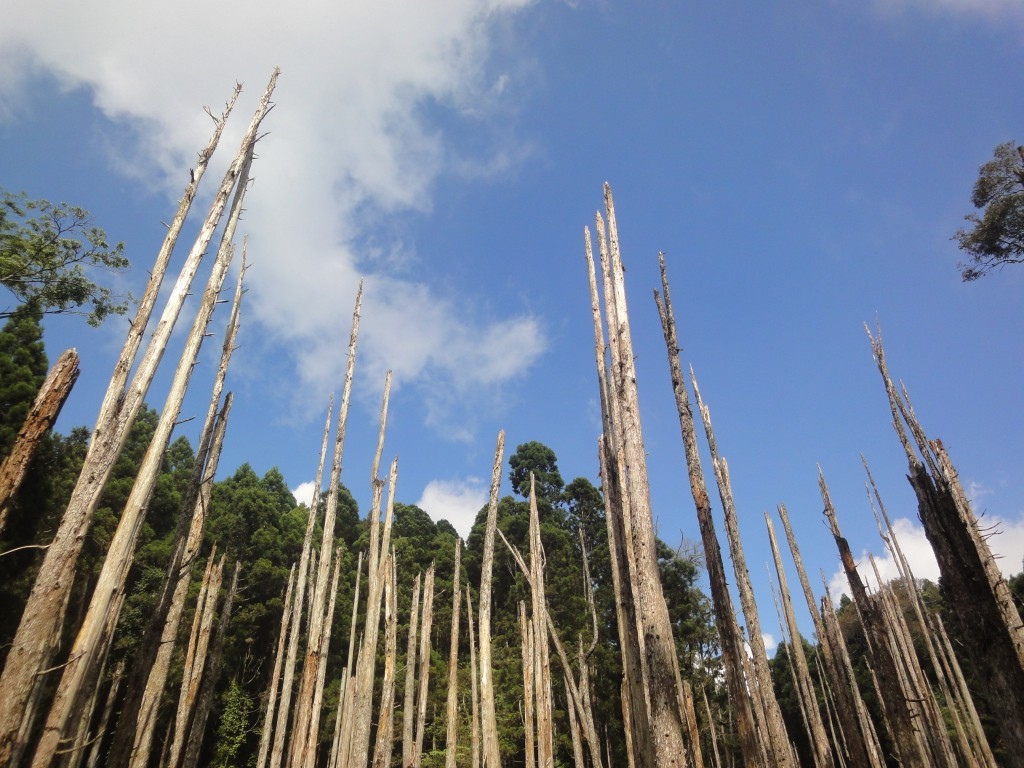 b1 (11).jpg b1 (11).jpg