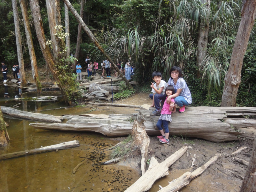 b1 (3)-1.jpg b1 (3)-1.jpg