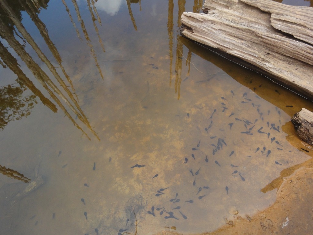 b1 (4).jpg b1 (4).jpg