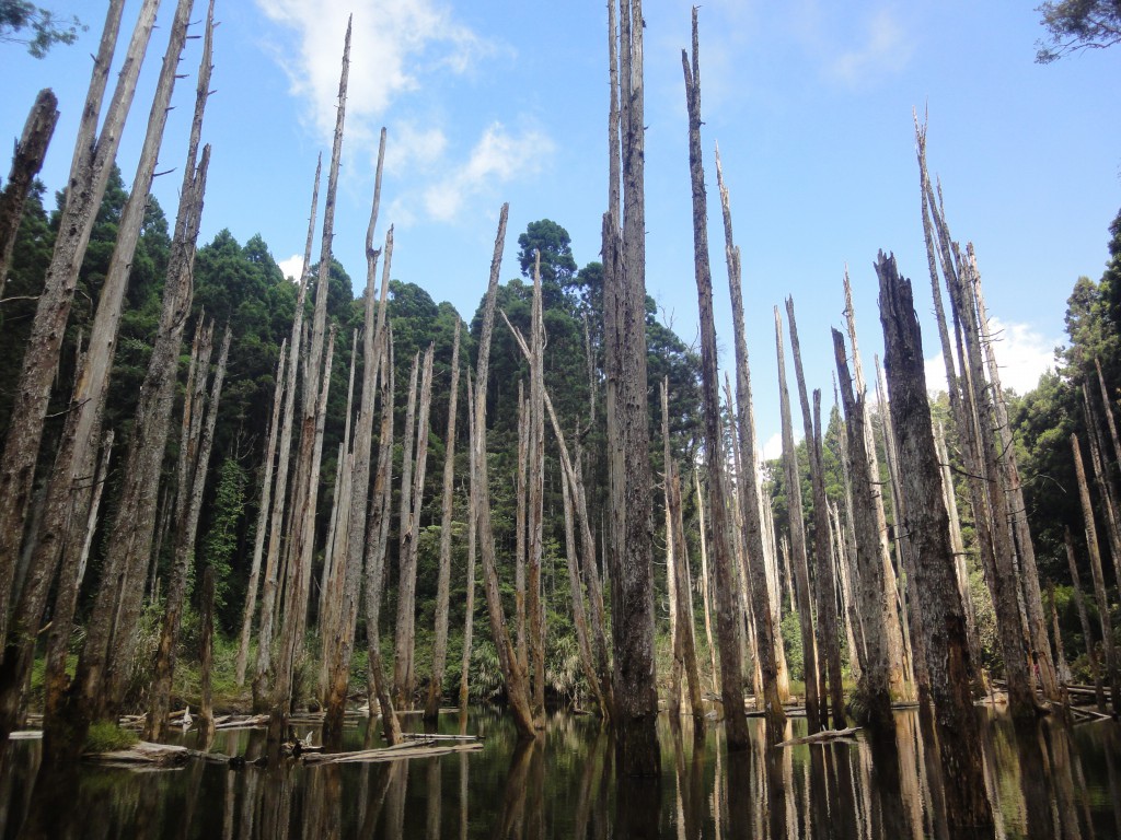 b1 (14).jpg b1 (14).jpg