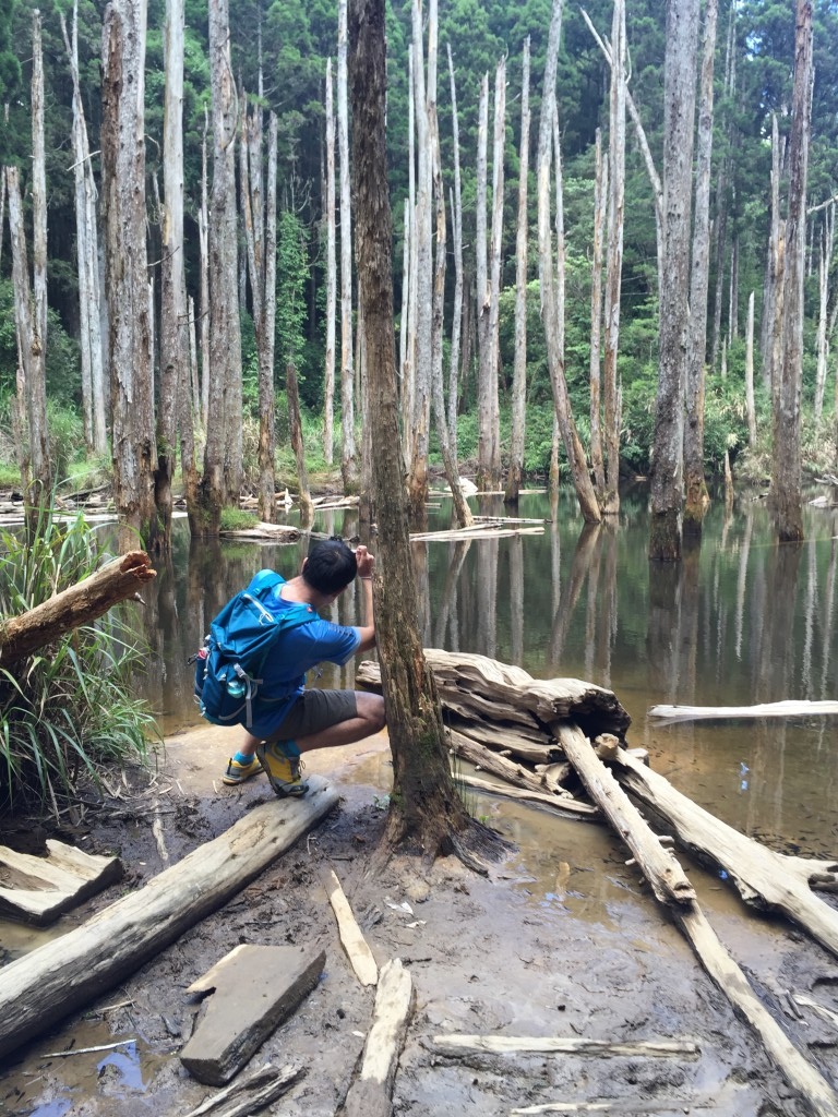 b2 (10).jpg b2 (10).jpg