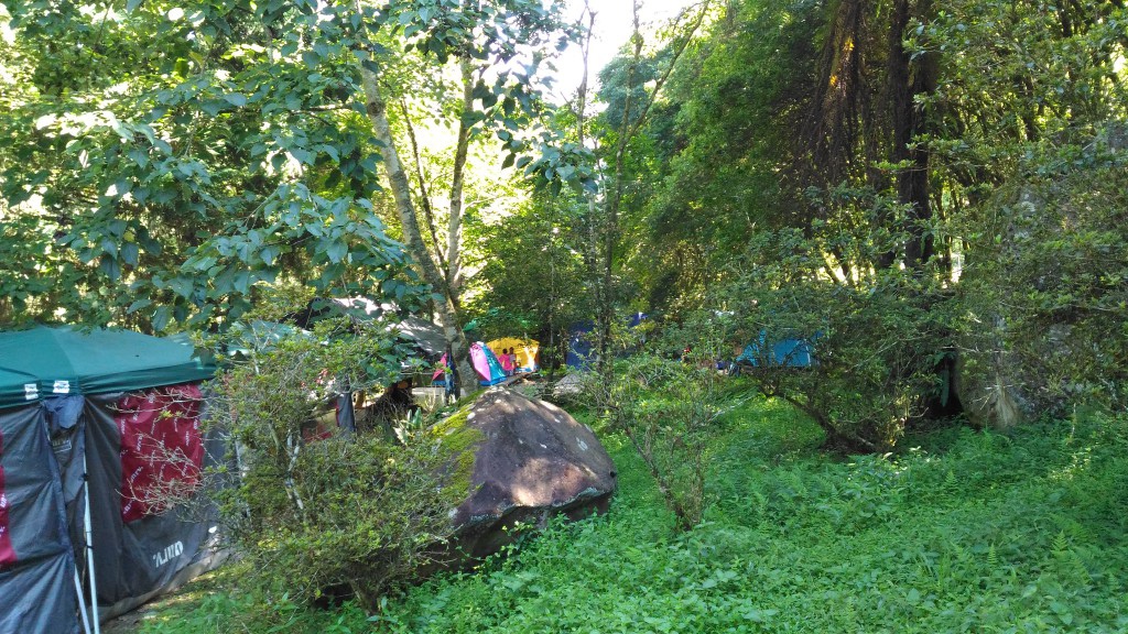 d1 (7).jpg d1 (7).jpg