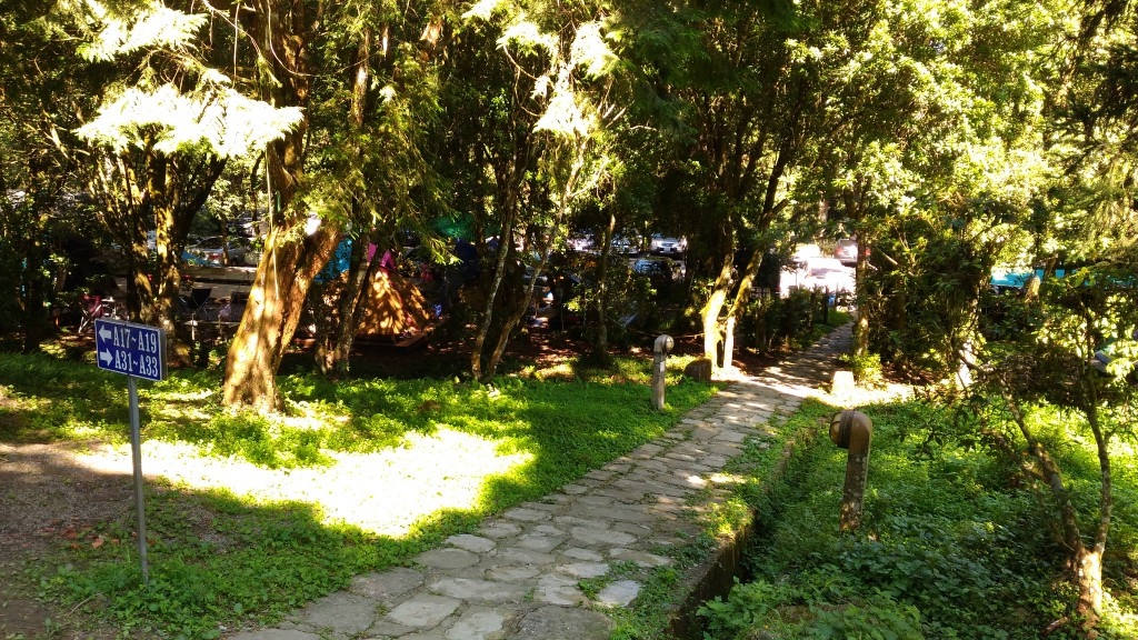 d1 (14).jpg d1 (14).jpg