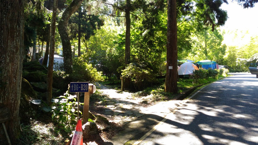 d1 (15).jpg d1 (15).jpg