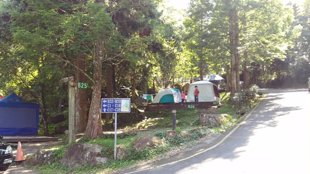 d1 (20).jpg d1 (20).jpg