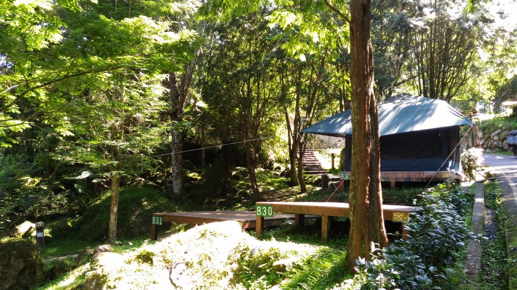 d1 (30).jpg d1 (30).jpg