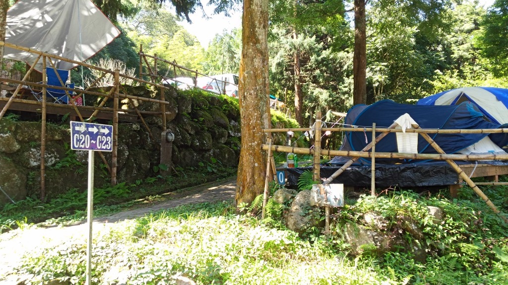 d1 (35).jpg d1 (35).jpg