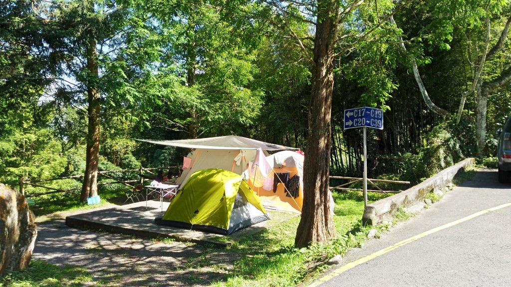 d1 (34).jpg d1 (34).jpg