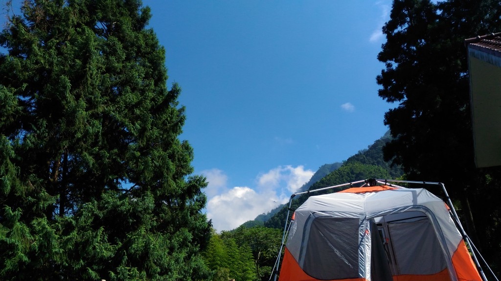 d1 (41).jpg d1 (41).jpg