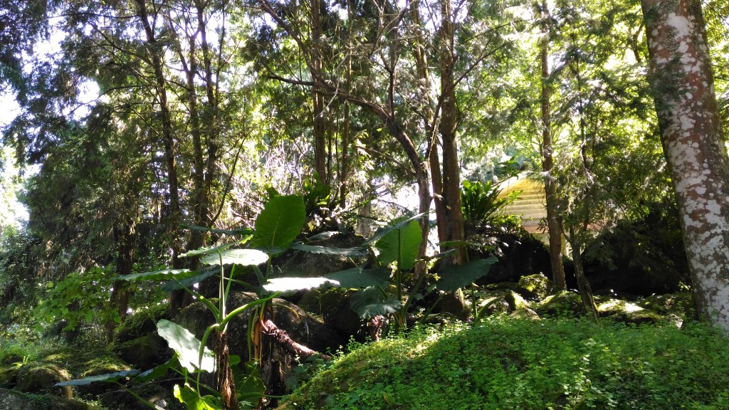 d1 (50).jpg d1 (50).jpg