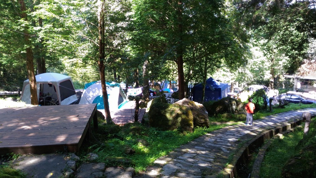 d1 (46).jpg d1 (46).jpg