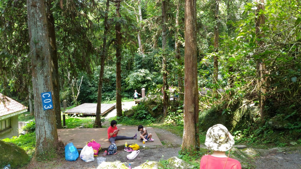 d1 (89).jpg d1 (89).jpg