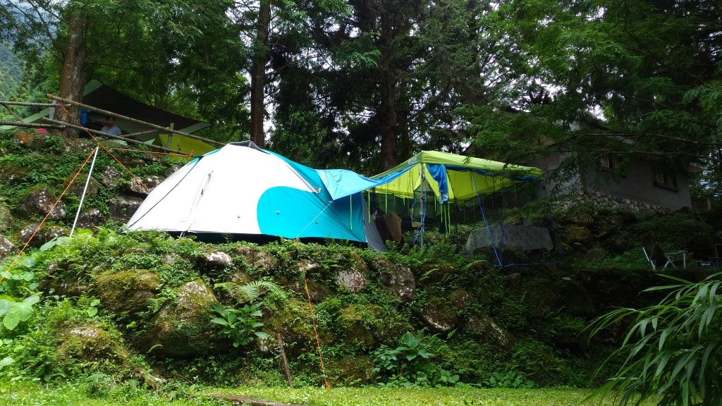 d1 (95).jpg d1 (95).jpg