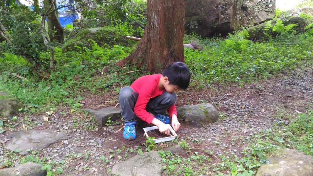 e1 (3).jpg e1 (3).jpg