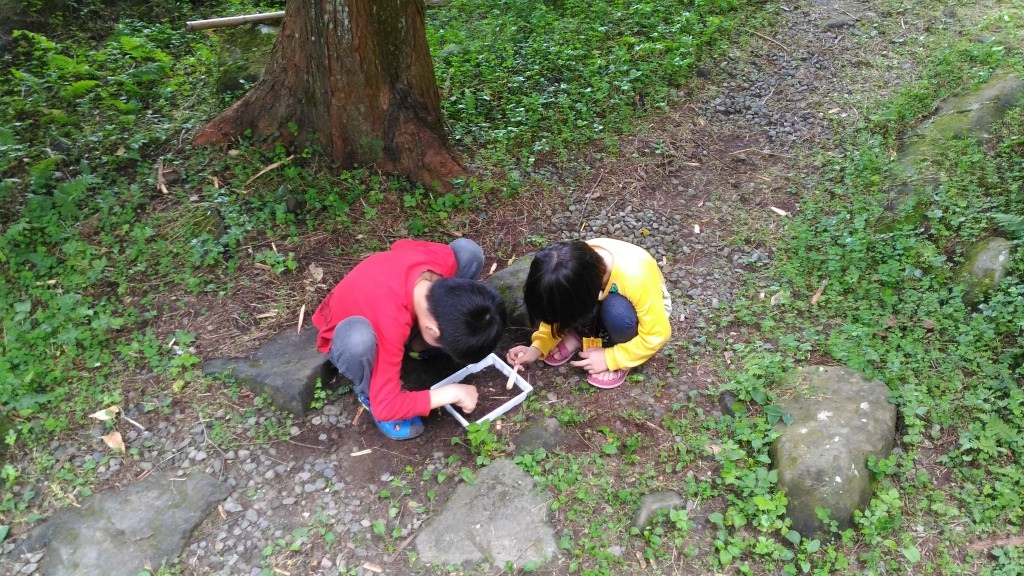 e1 (5).jpg e1 (5).jpg