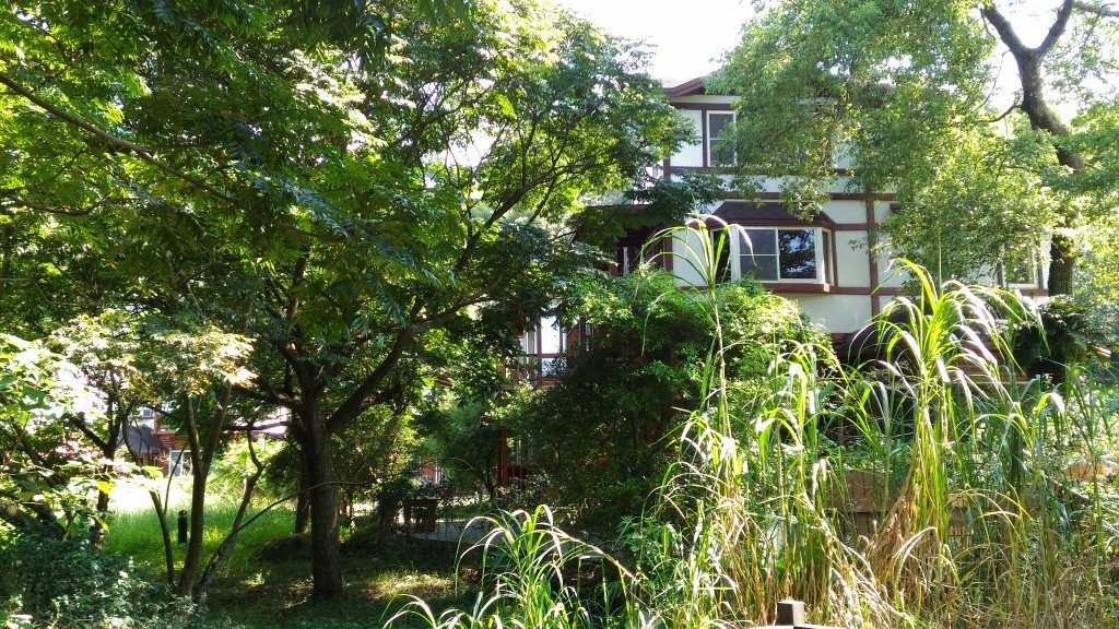 e2 (7).jpg e2 (7).jpg