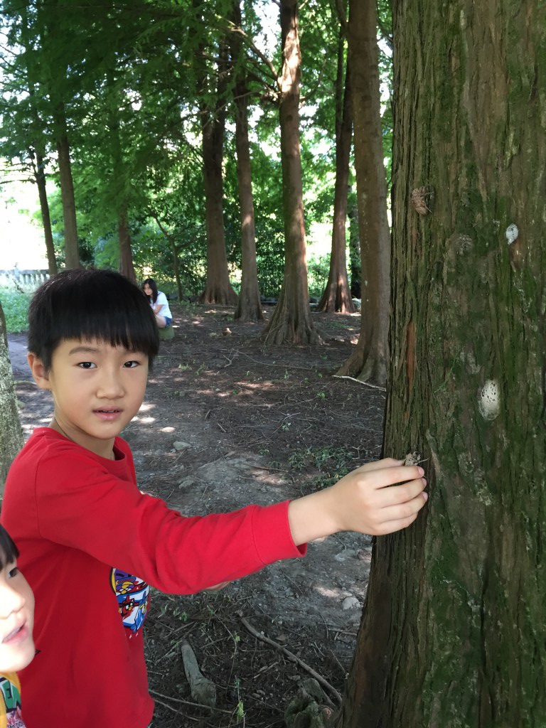 e2 (8).jpg e2 (8).jpg