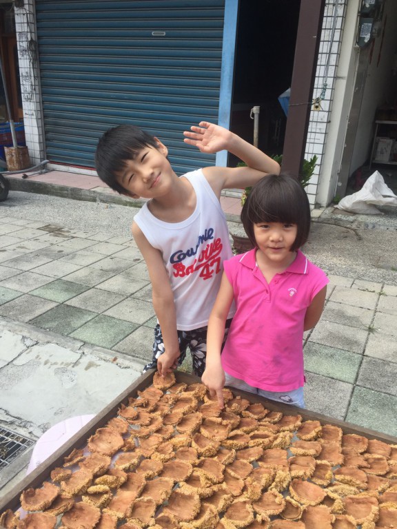 ca1 (5).jpg ca1 (5).jpg