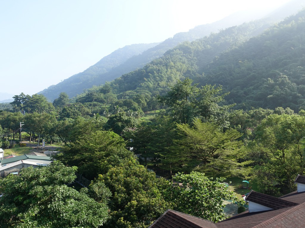 fa1 (2).jpg fa1 (2).jpg