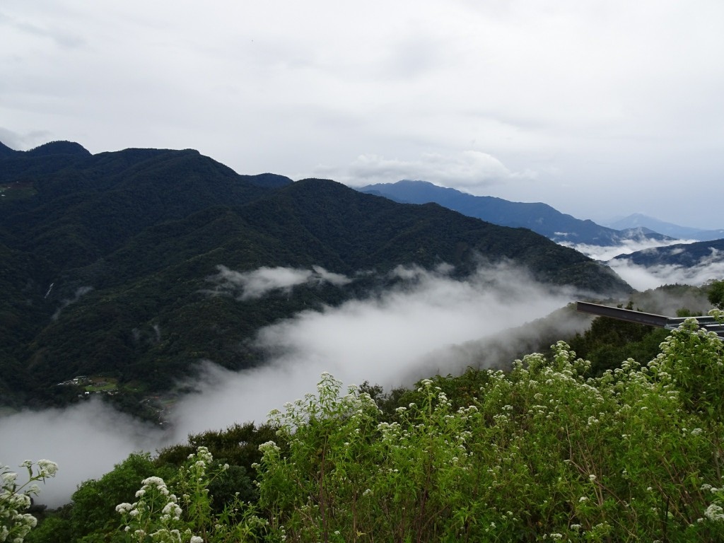 A (25)-1.jpg A (25)-1.jpg